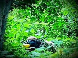 Image result for Point Blank Paintball, North Allerton, North Yorkshire