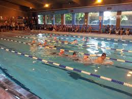 Image result for Frome Swimming Club