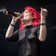 Kuvahaun tulos haulle bonsaikitten