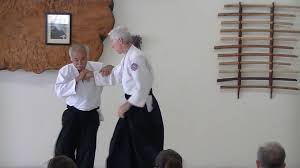 Image result for Durham City Aikikai