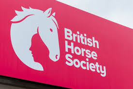 Image result for British Horse Society