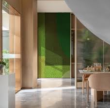 Attēlu rezultāti vaicājumam “Callicladium haldanianum”