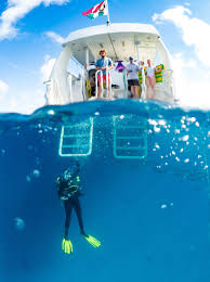 Image result for Seabug Divers