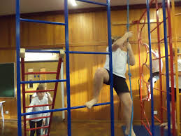 Image result for Notts School Of Gymnastics