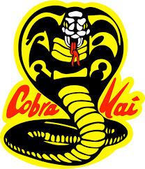 Image result for Cobra Karate Club