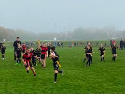 Image result for Portadown Rugby Football Club