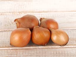 Image result for Zwiebeln