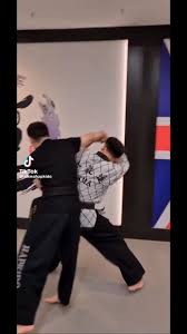 Image result for INTERNATIONAL HAPKIDO TAMWORTH
