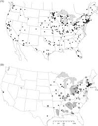 Attēlu rezultāti vaicājumam “Najas minor”