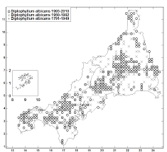 Attēlu rezultāti vaicājumam “Diplophyllum albicans”