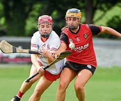 Image result for Ceann Creige Hurling and Camogie Club