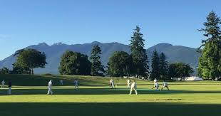 Image result for Sibton Park Cricket Club