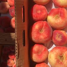 Image result for donut peach