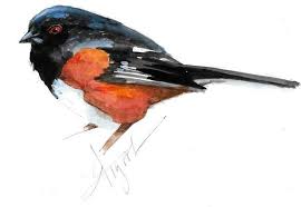 Image result for Pipilo erythrophthalmus