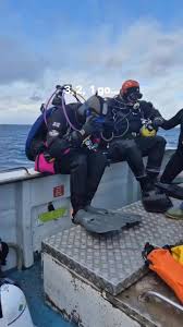 Image result for East Cheshire Sub-Aqua Club