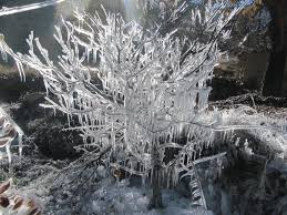 Image result for ice storm