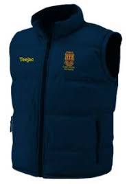 Image result for Clwb Criced A Bowlio Bethesda