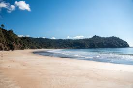 Image result for new chums beach