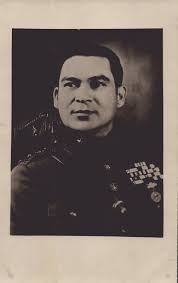 Attēlu rezultāti vaicājumam “Fuligo licentii young”