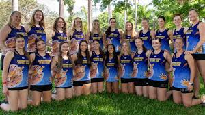 Image result for Astley Netball Club