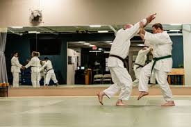 Image result for Hachidori ju-jitsu Martial Arts