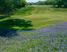 Image result for Brokenhurst Manor Golf Club