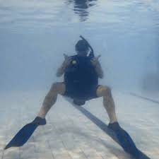 Image result for TAL Divers