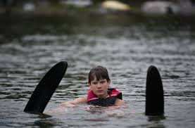 Image result for Ivy Lake Waterski Club