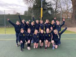 Image result for Hull Chevrons Netball Club