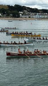Image result for Appledore Pilot Gig Club