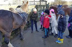 Image result for Beechwood Riding School
