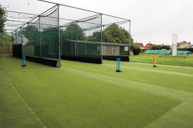Image result for All Cannings Cricket Club