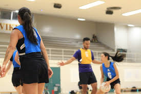 Image result for Netball United
