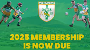 Image result for Atticall Gac