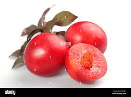 Attēlu rezultāti vaicājumam “Prunus cerasifera fruit”