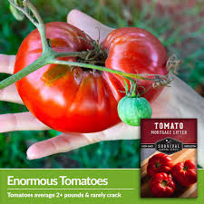 Afbeeldingsresultaat voor mortgage lifter bicolor strain tomato