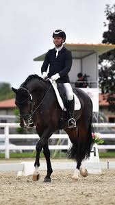 Image result for Interfreestyle Sport Karate