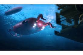 Image result for Plymouth Aquanauts