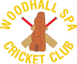 Image result for Louth Cricket Club