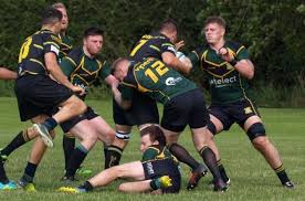 Image result for Vipers Rugby Football Club