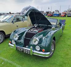 Image result for British Racing Green 1955 Jaguar