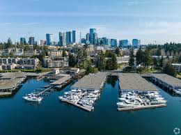 Image result for Bellevue