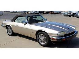 Image result for Platinum 1993 Jaguar