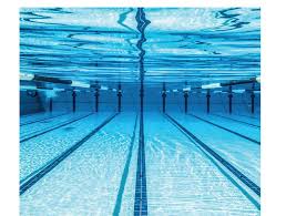 Image result for Nottingham Octopush Club