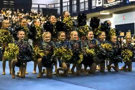 Image result for RT Twilights Cheerleading