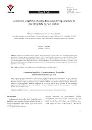 Attēlu rezultāti vaicājumam “Anomodon longifolius”