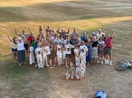 Image result for Henfield Cricket Club