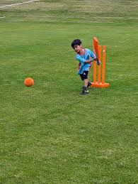 Image result for Warrington Cricket Club