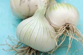 Attēlu rezultāti vaicājumam “Allium cepa”