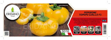 Afbeeldingsresultaat voor topepo giallo sweet pepper